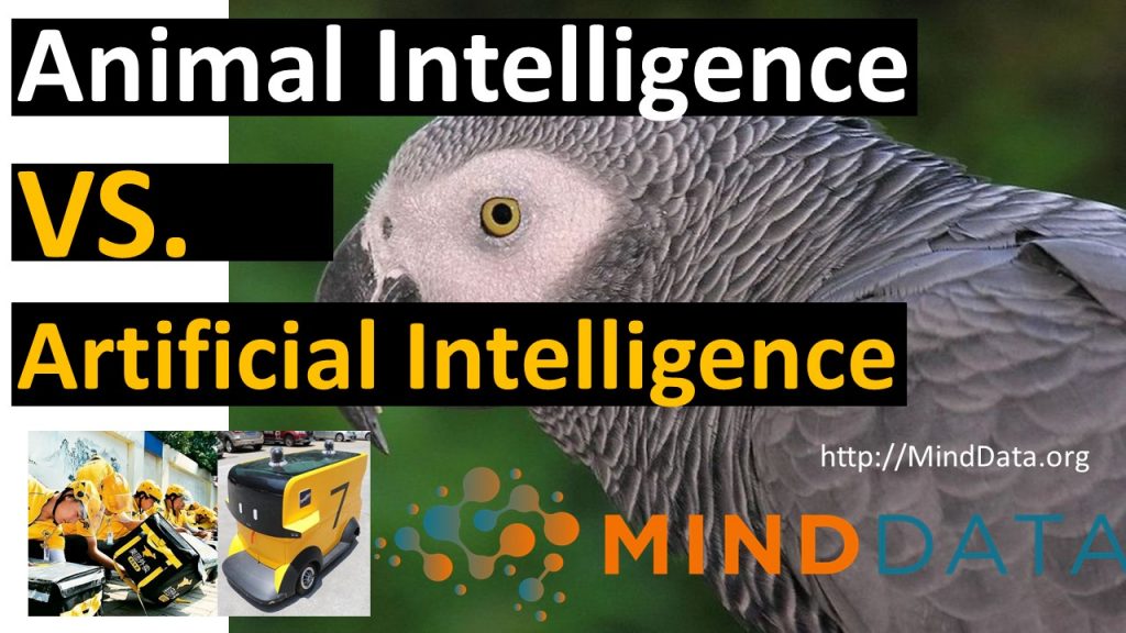 Parrot Order food via Amazon Alexa; China Food Delivery Robots Mind